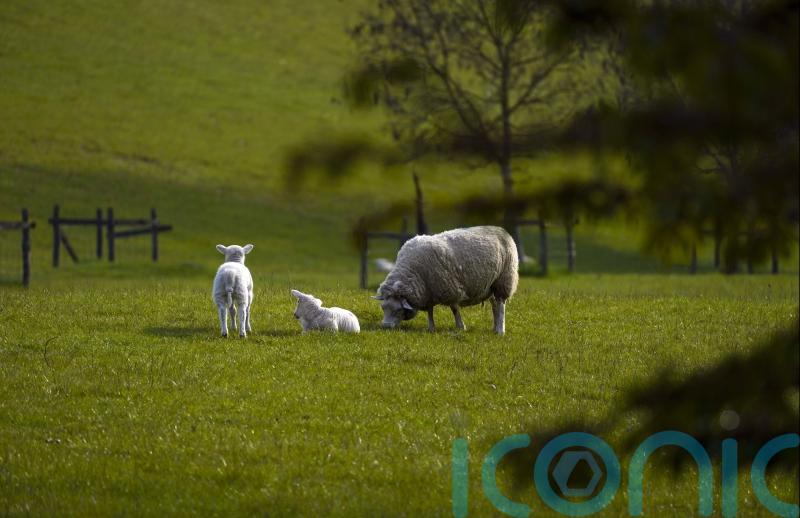 Government urged to do right thing and reverse ‘family farm tax’