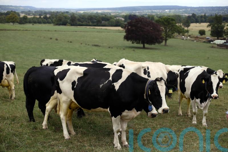 Tension, anger and frustration ‘so tangible’ among farmers after Budget – NFU