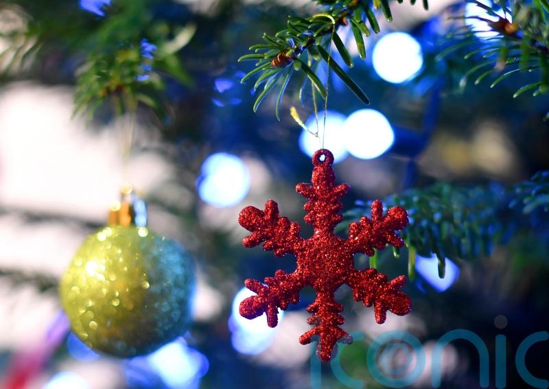 Covent Garden Christmas tree harvested in Solihull ahead of festive season