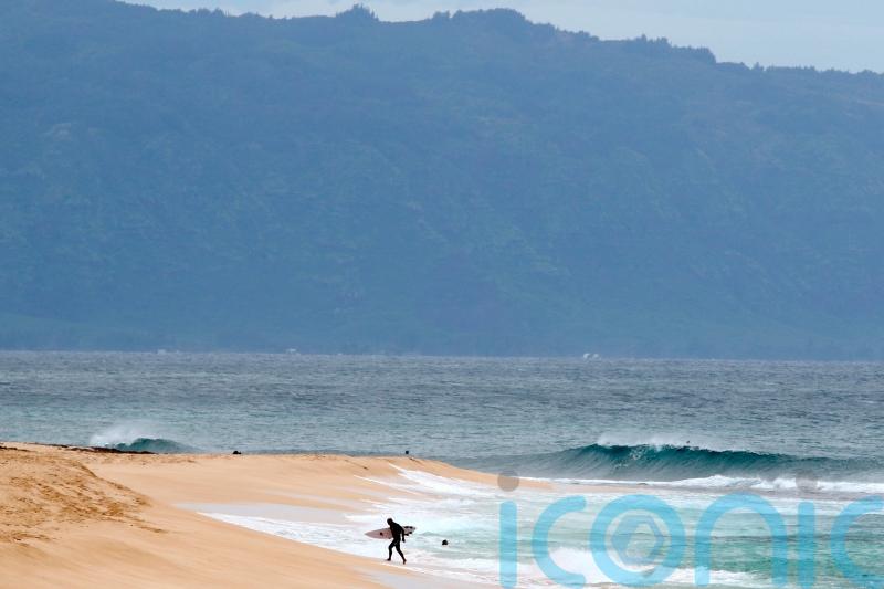 Shark severs leg of 61-year-old US surfer in attack