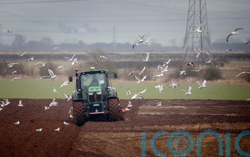 Impact of changes to farming inheritance tax: key questions answered