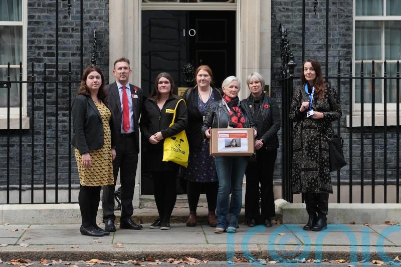 Million-signature firework restrictions petition handed in to Downing Street