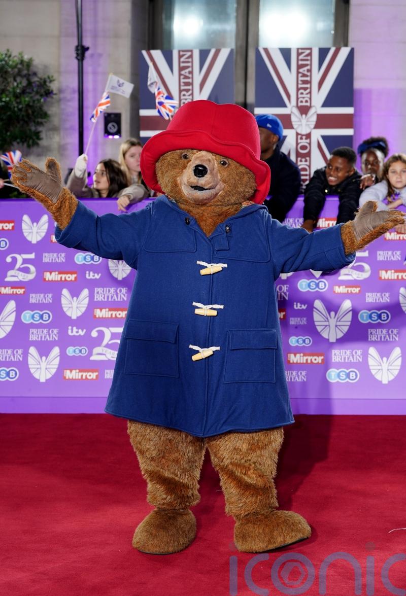 Nearly 2,000 fake Paddington Bear items seized in trading standards raids