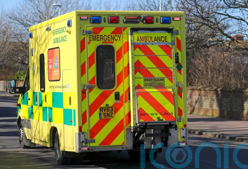 Child dies after being struck by falling tree branch in Surrey