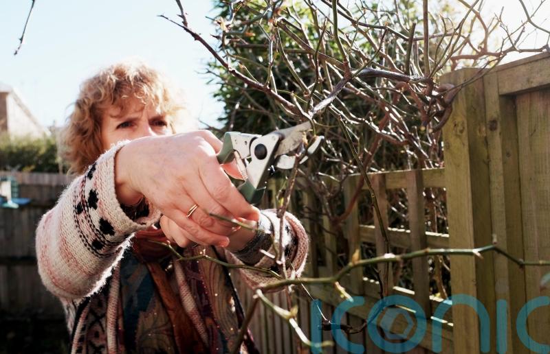 What essential garden jobs should you tackle as we head into the festive season?
