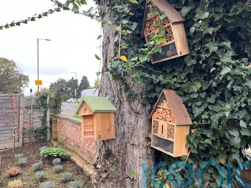 £5m scheme boosts nature for hundreds of communities across UK, report shows
