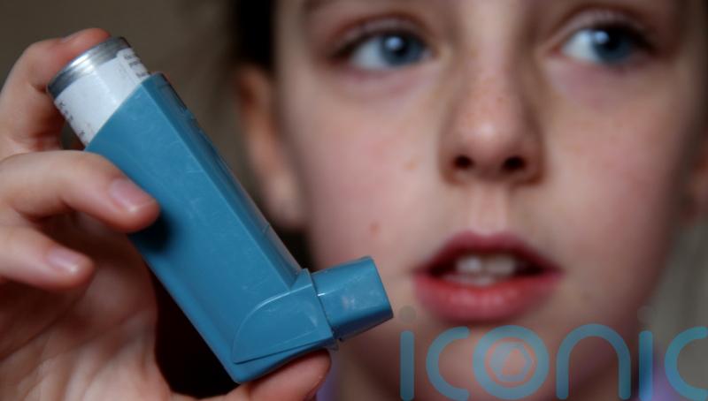 Asthma may place children at risk of memory difficulties, study suggests