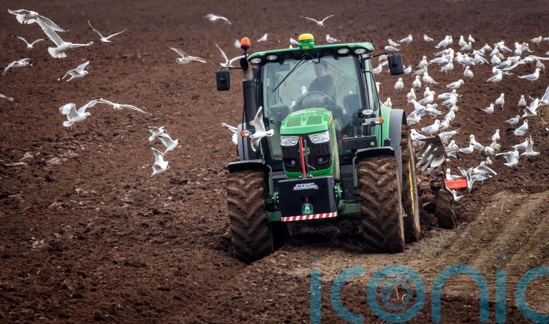 Tories to urge Treasury to reverse ‘cruel’ farm inheritance tax changes