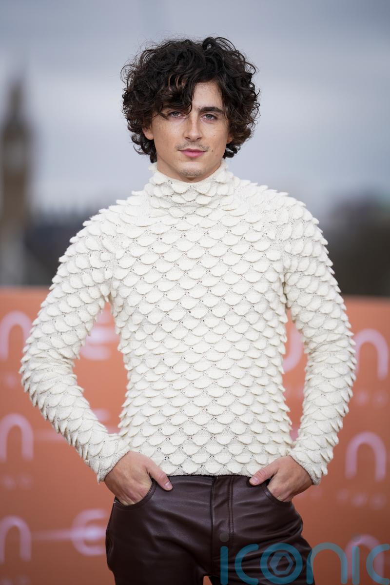 Timothee Chalamet was told he did not have ‘right body’ for blockbuster roles