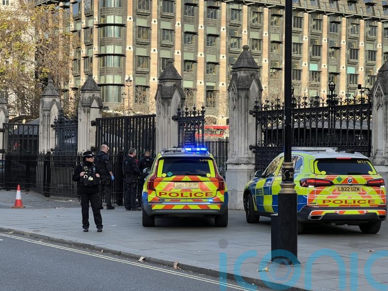 Man faces offensive weapons charges after incident outside Parliament