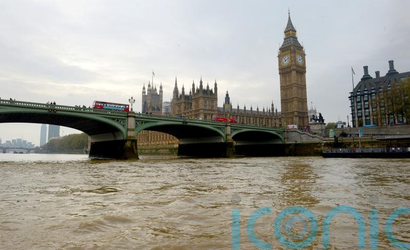 Ministers back voluntary levy on arena gig tickets to support grassroots venues