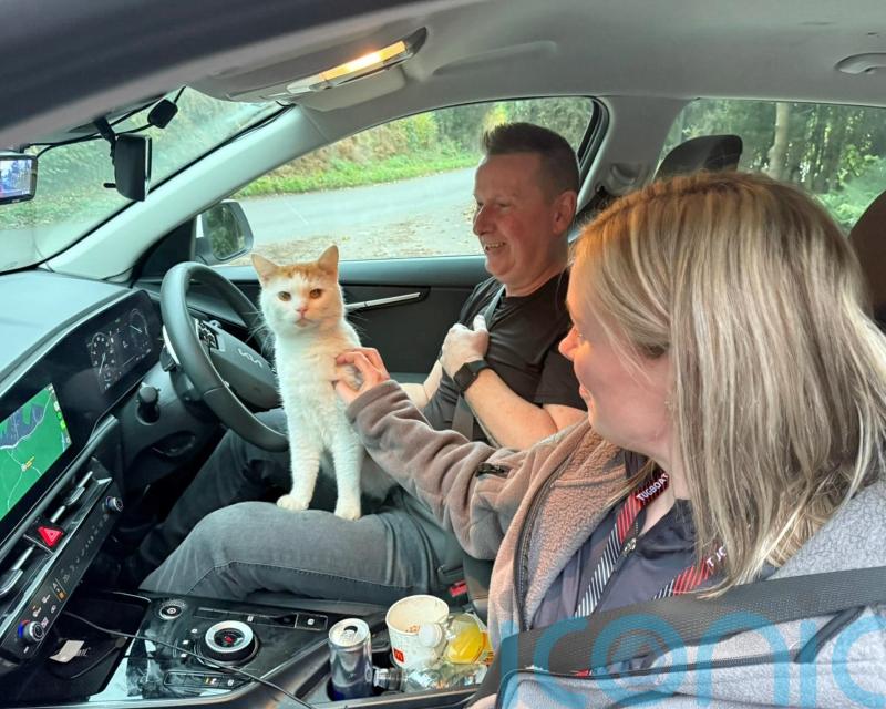 Owners’ joy as cat missing from Scottish home found 300 miles away in Coventry