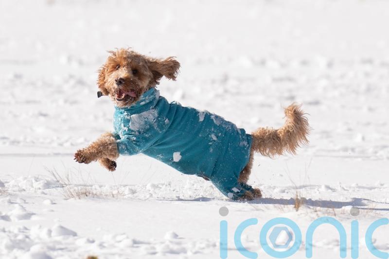 Up to 20cm of snow expected in parts of UK in ‘first taste of winter’