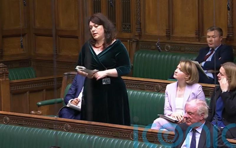 Calls to recognise service of sacked pregnant servicewomen