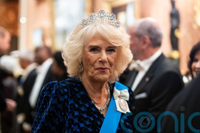 King, Queen and William welcome diplomats to glittering Palace reception