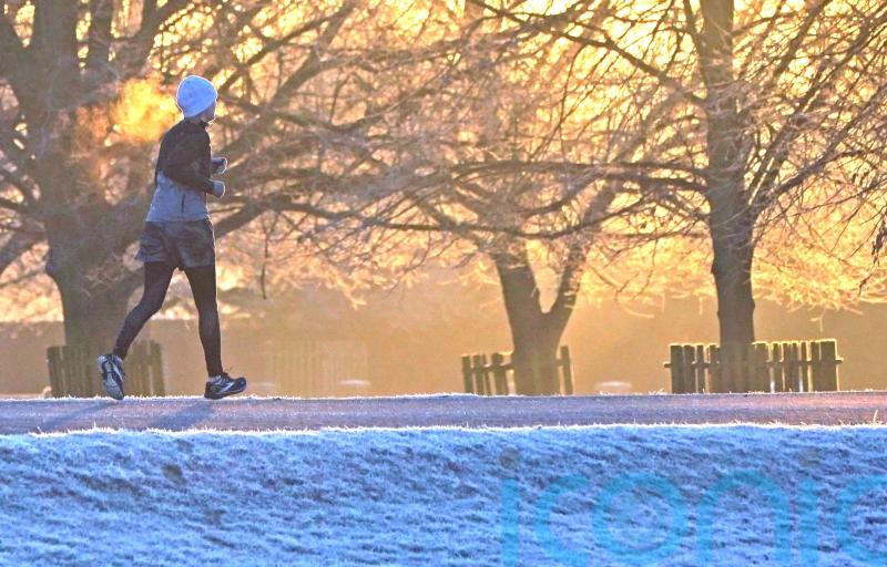High fitness levels linked to reduced dementia chance among those at risk