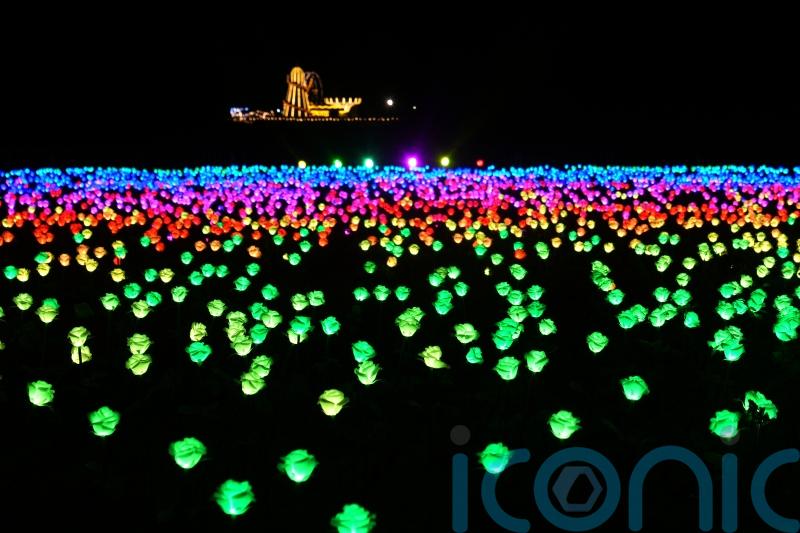 King’s Sandringham estate sparkles with winter lights trail