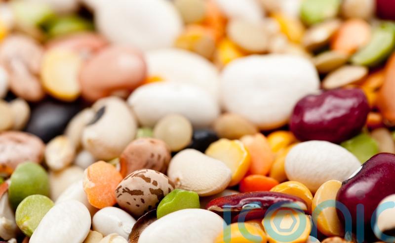 Beans and peas are better than veggie burgers and plant milks, researchers say