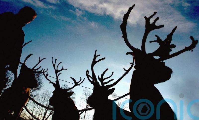 Christmas festival cancels reindeer due to bluetongue disease restrictions