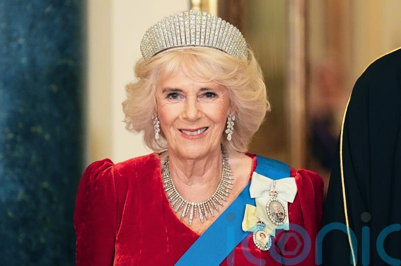 Camilla makes it to state banquet after pneumonia revelation