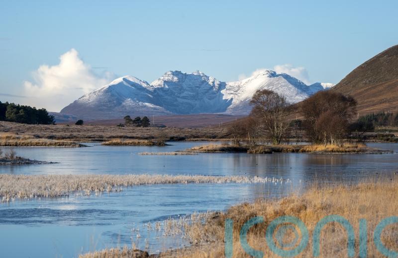 Campaigners present ‘vision of hope’ for Scotland to become rewilding nation
