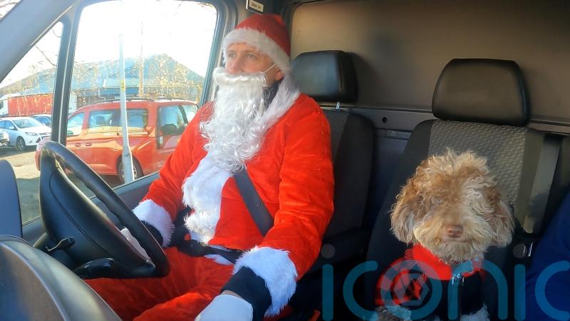 Labradoodle puppy helps charity ‘spread kindness one delivery at a time’