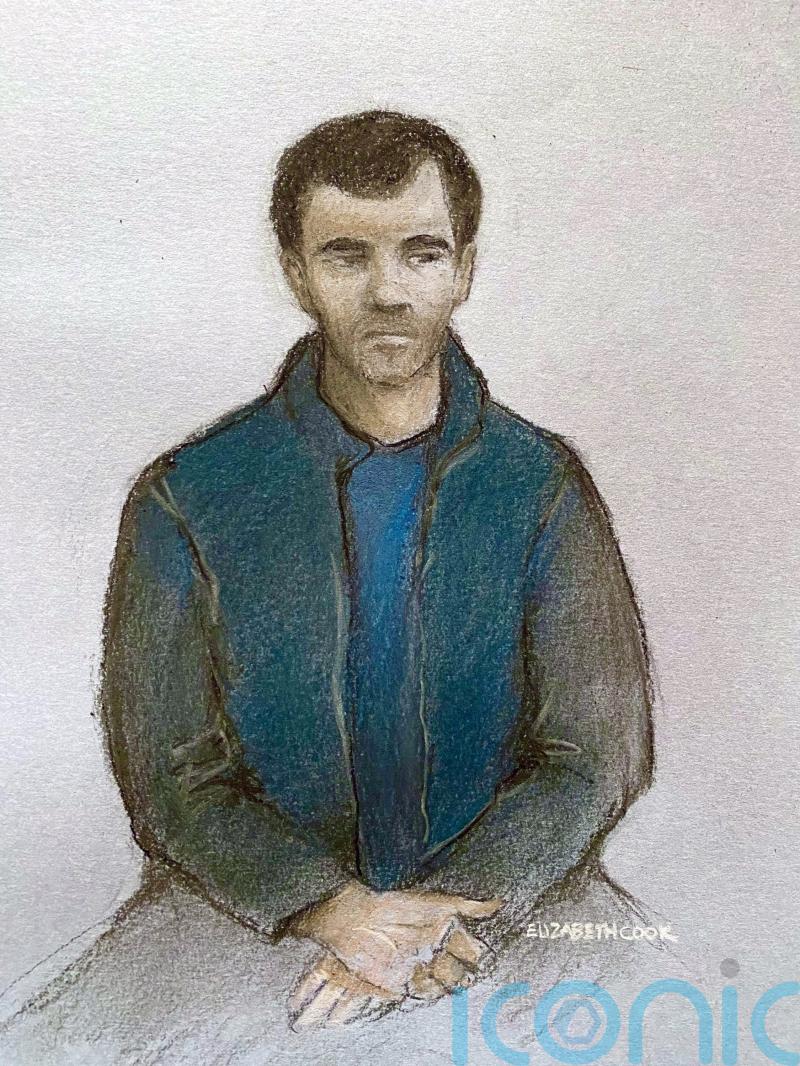 Suspected Russian spy claimed to be working for Interpol, court told