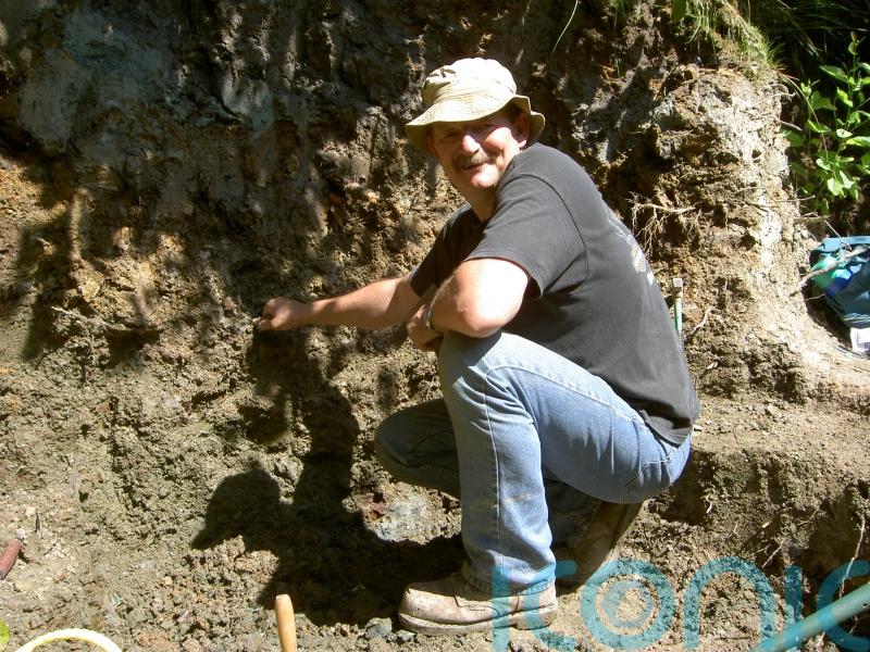 Teeth find shows meat-eating dinosaurs roamed East Sussex 135 million yeas ago