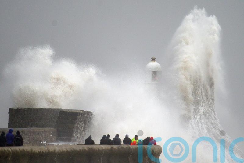 Man dies after tree falls on van as Storm Darragh lashes UK