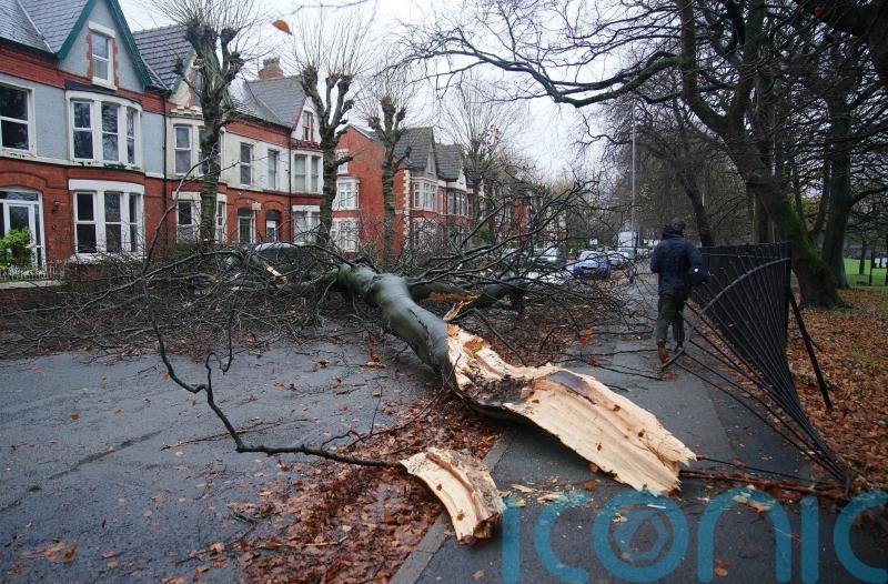 Further disruption expected as strong winds continue in wake of Storm Darragh