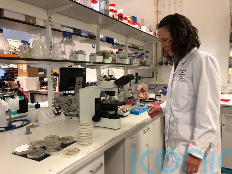 New system for detecting bugs in water supply is ‘very significant improvement’