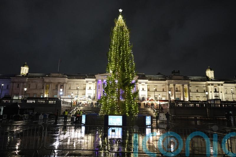 Fact check: Trafalgar Square Christmas tree appears similar to previous years