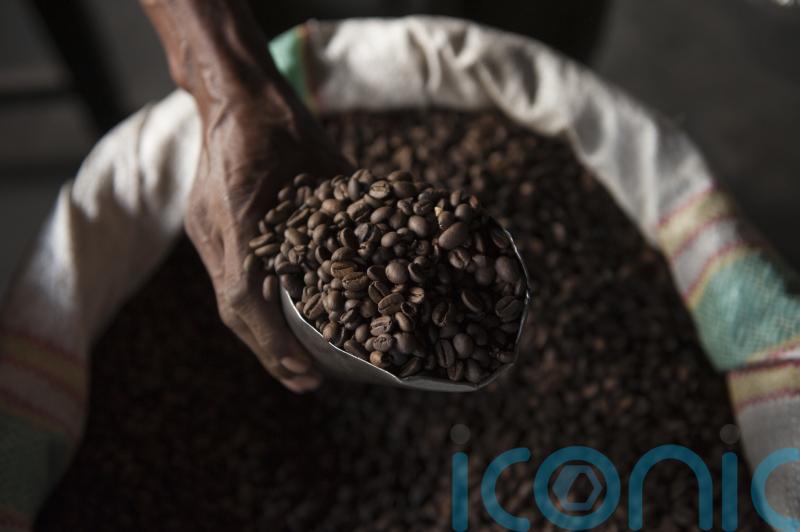 Coffee drinkers braced for cost increase as bean prices reach record high