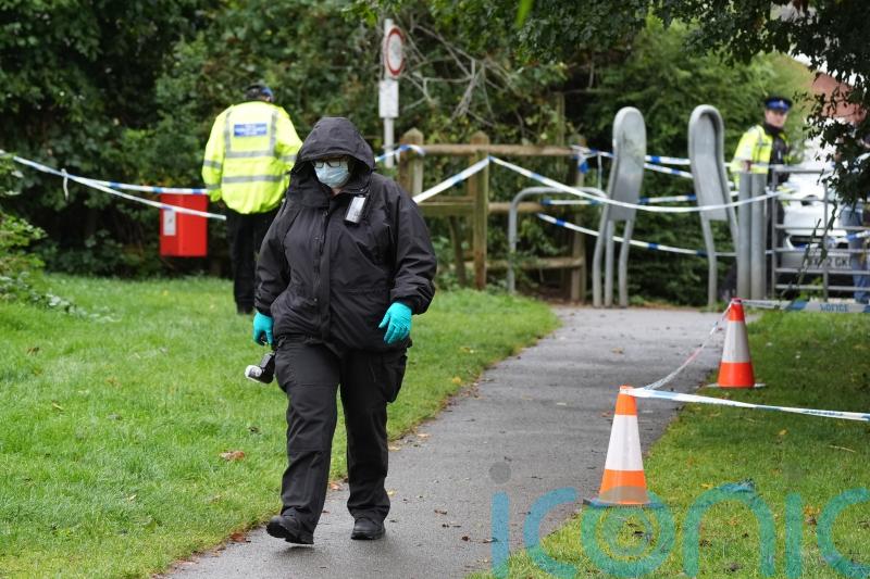 Girl, 12, charged with manslaughter of 80-year-old man in park
