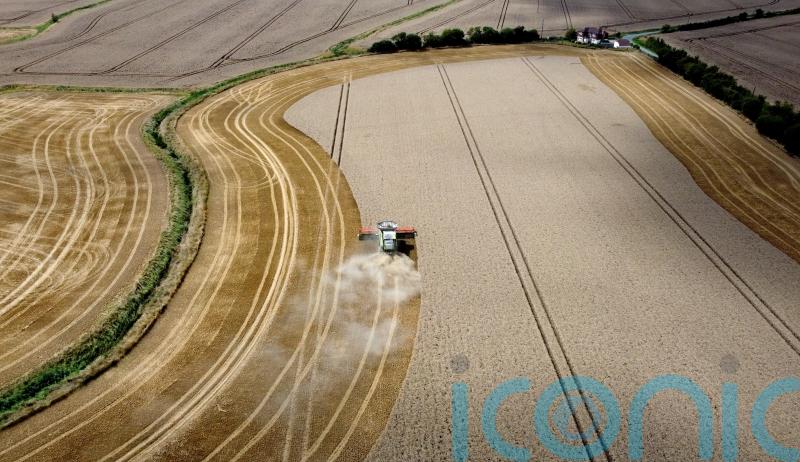 Tackling climate change alone could harm nature and water crises, experts say