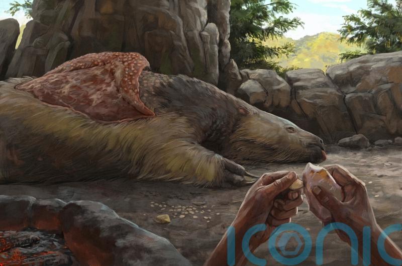Giant sloths and mastodons lived with humans for millennia, research suggests