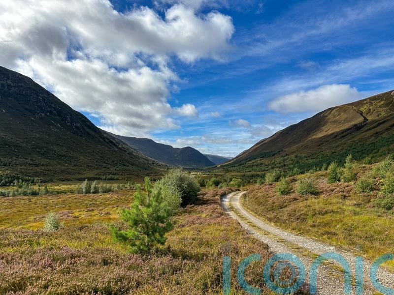 Nature restoration in Highlands facing long-term challenges, communities warn