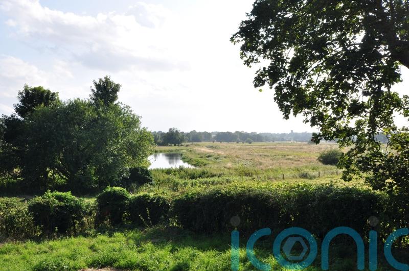 Three quarters of precious habitats and wildlife unmonitored in past five years