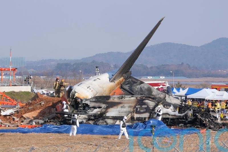 179 confirmed dead after plane crashes off South Korea runway and catches fire