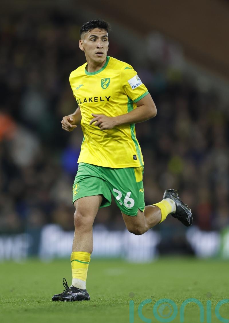 Marcelino Nunez effort enough as Norwich punish sorry Luton
