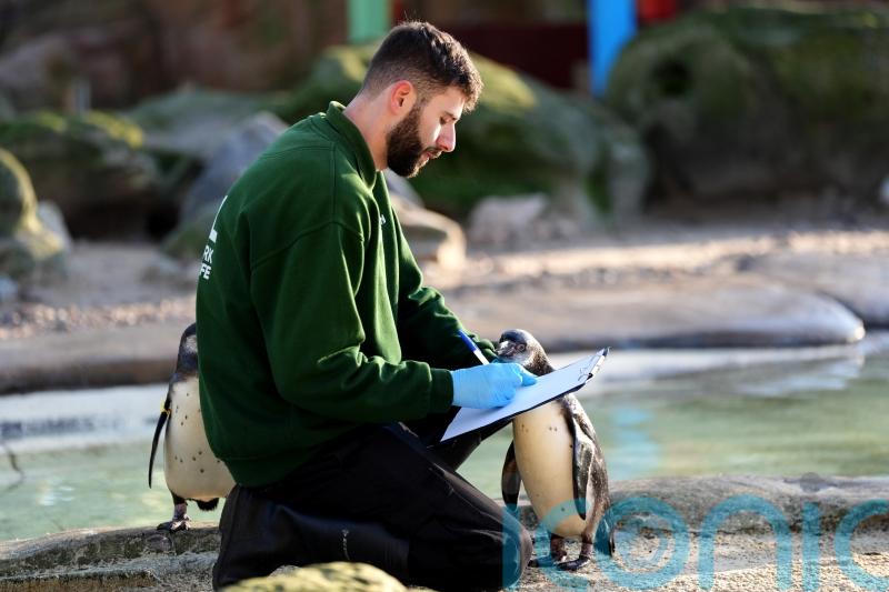 London Zoo begins week-long annual stocktake counting more than 10,000 animals
