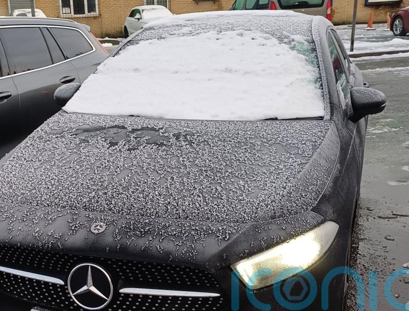 Police catch motorist driving ‘Ace Ventura-style’ because of snow on windscreen