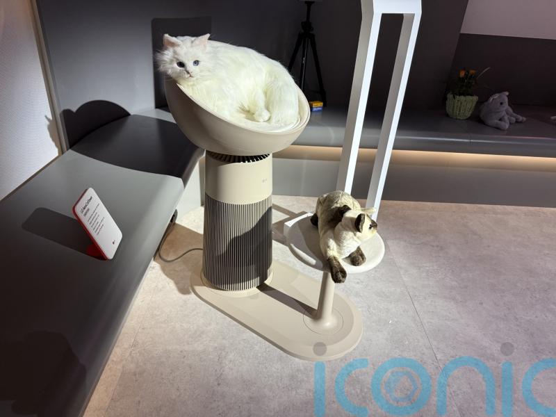 The weird and wonderful gadgets of CES 2025