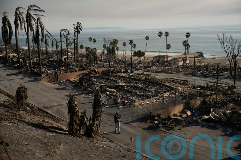 US actor James Woods describes ‘miracle’ of finding home standing in ‘hellscape’