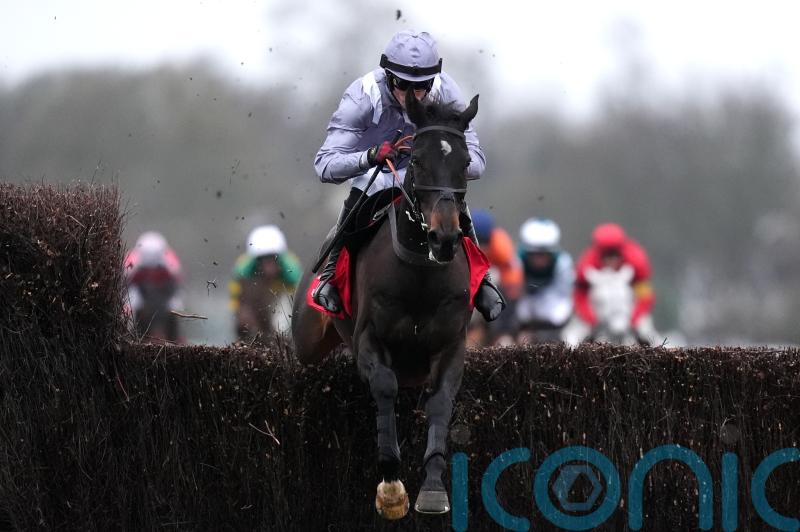 George: Straight to Cheltenham with Il Est Francais