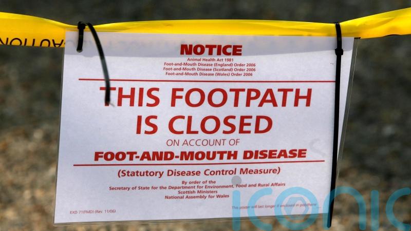 Government seeks to reassure farmers amid foot-and-mouth outbreak in Germany
