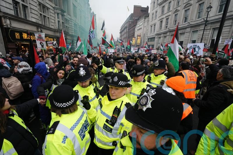 Nine people charged with public order offences after London pro-Palestine protest