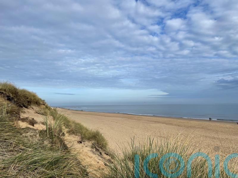 Seals and sea air make Norfolk a refreshing choice for a winter family break