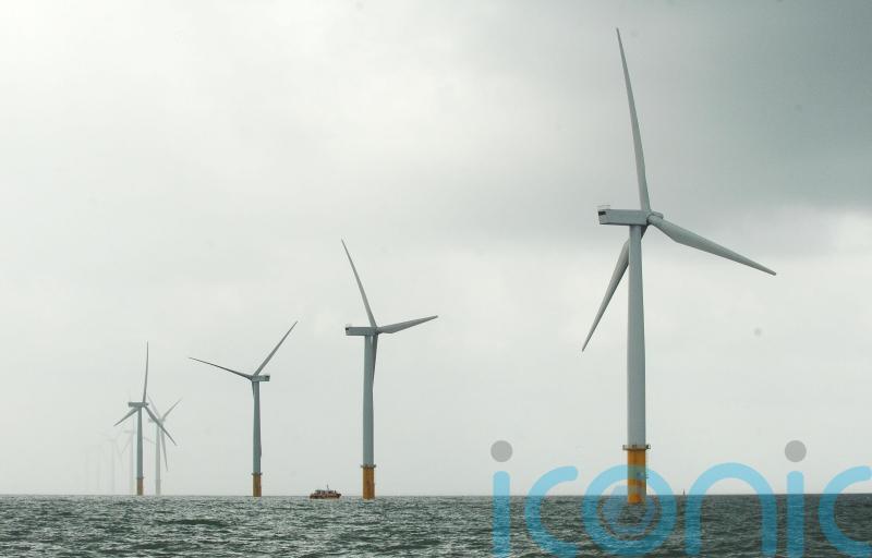 Rules to curb harmful underwater noise in offshore wind construction unveiled