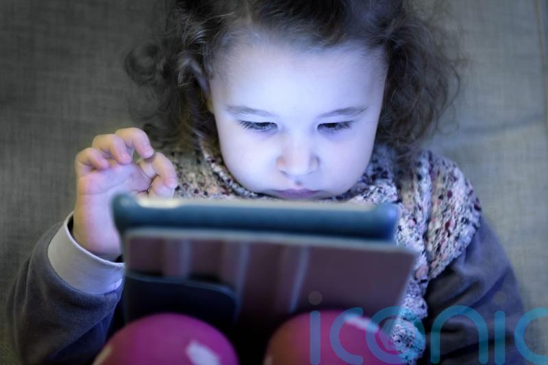 Children ‘no match’ for Silicon Valley billions, peer says in online safety plea